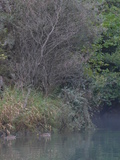 P1020332.JPG